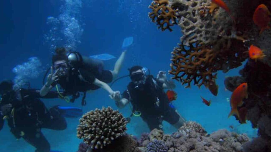 actividades al aire libre en quintana roo