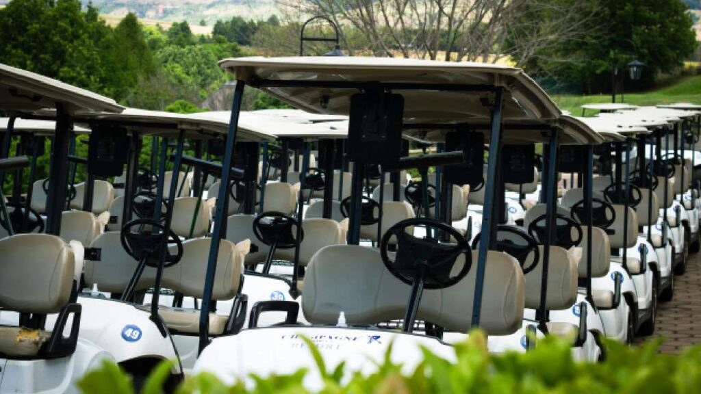 carritos de golf