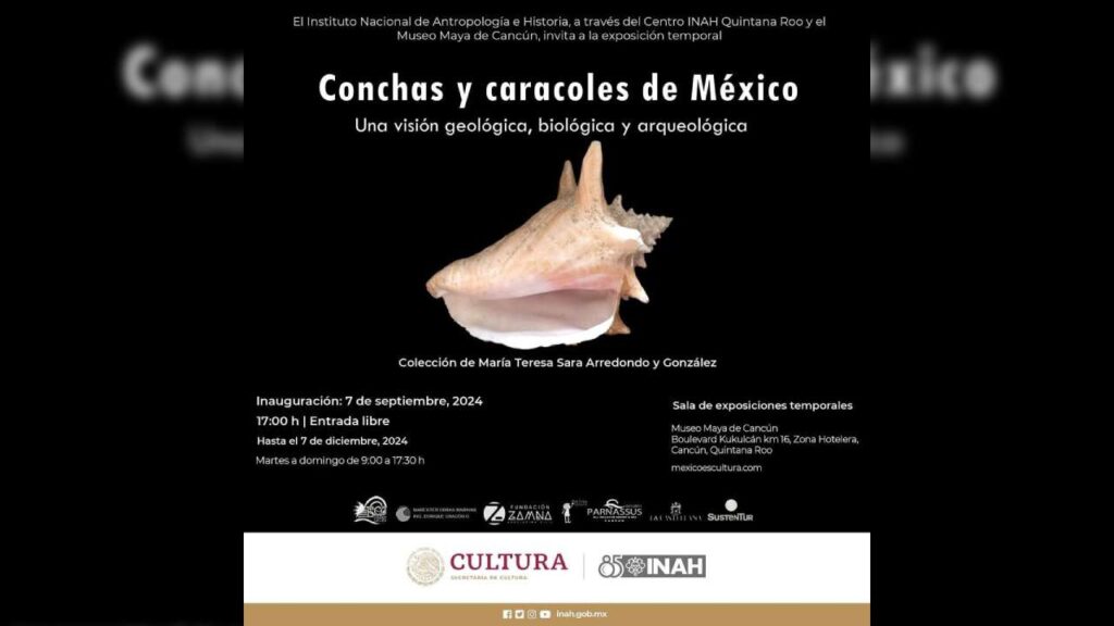 Conchas y Caracoles de México