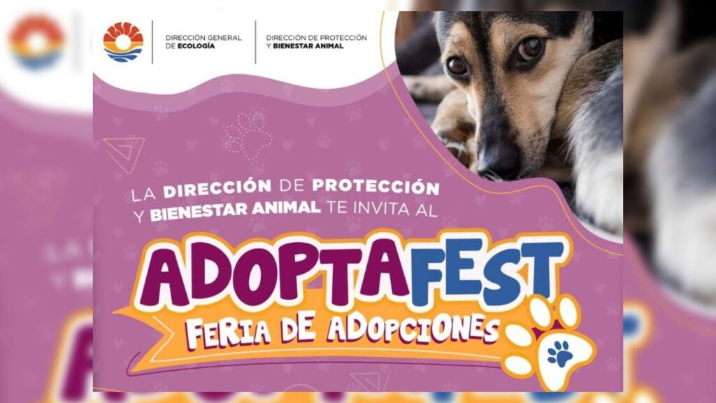 adoptafest