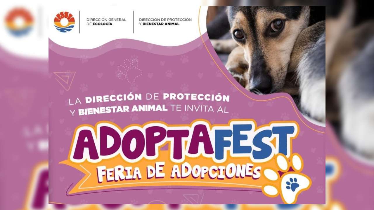 adoptafest