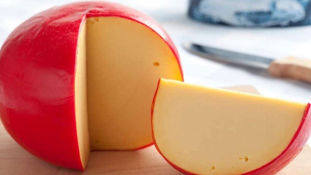 feria del queso de bola