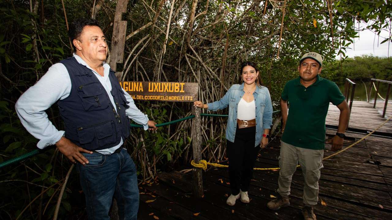 “All inclusive” al “Todos incluidos”