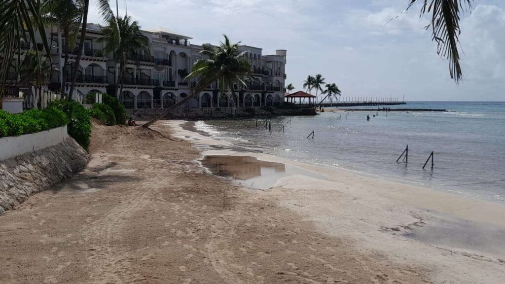 Solidaridad mantendrá la estrategia para recuperar arena afectada por sargazo