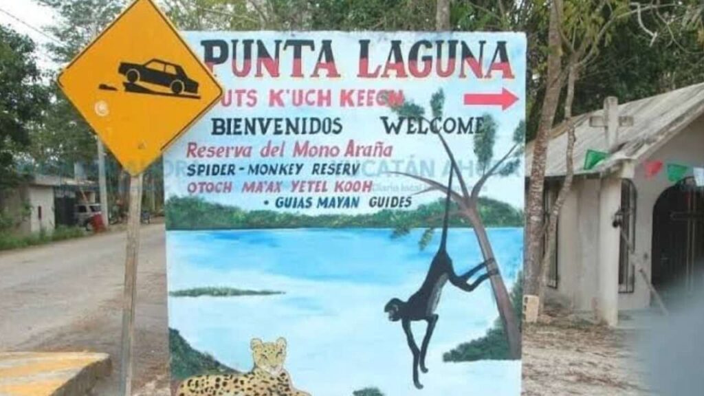 Solidaridad retoma disputa territorial por comunidades de Punta Laguna