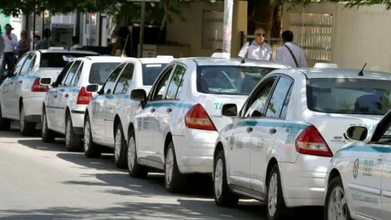 búsqueda de nuevo sindicato de taxistas en Playa Del Carmen