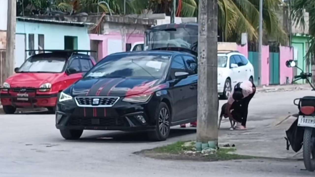 rescatan perro en solidaridad (1)