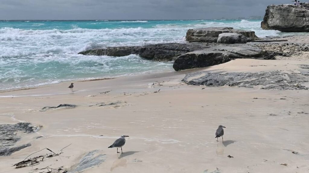 Playas erosionadas y urgencia de soluciones