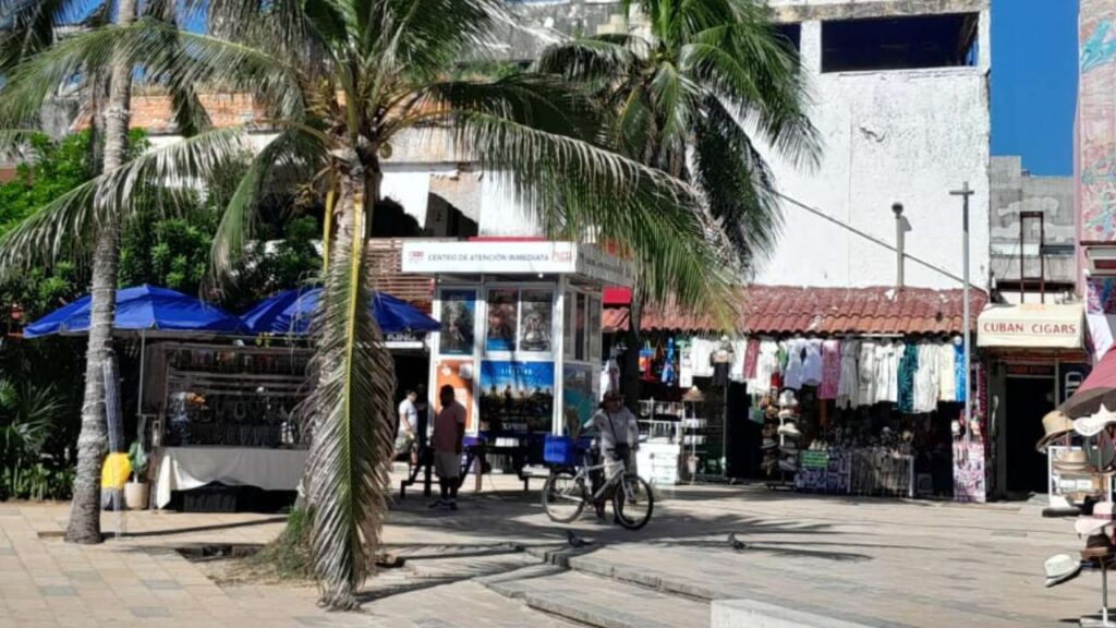 ambulantes regresan a la quinta avenida