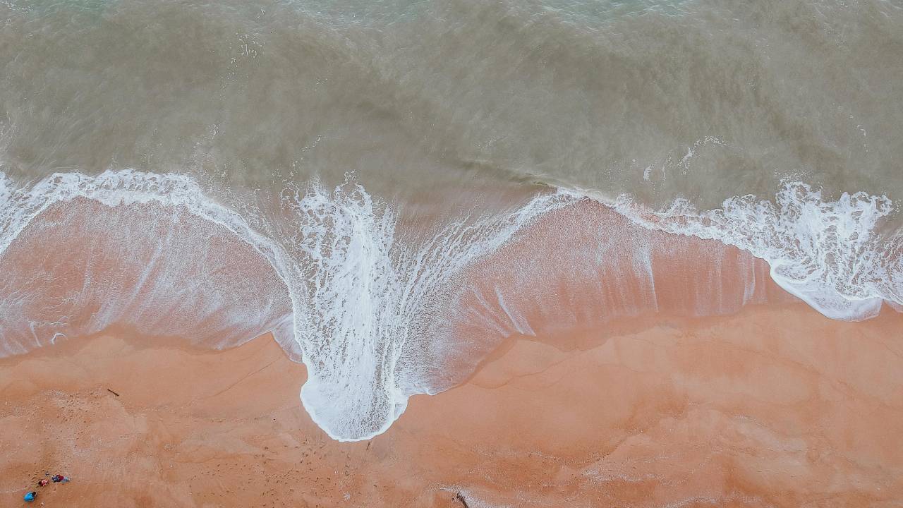 Recuperación de playas en Quintana Roo