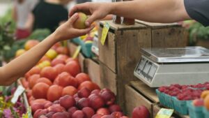 “Hecho en México”: Impulsan consumo local en Quintana Roo con productos únicos