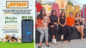 Cancat Love convoca a marcha en Cancún (2)