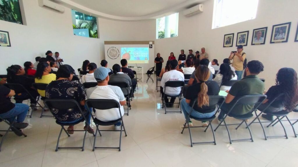 Temporada de anidación de tortugas en Playa del Carmen: cuándo inicia, medidas y restricciones