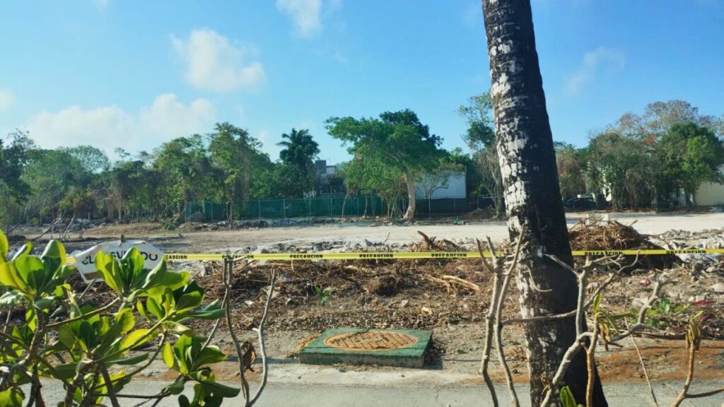 "No más destrucción": marchan en Playacar por muerte de venados. Foto: Yolanda Aldana