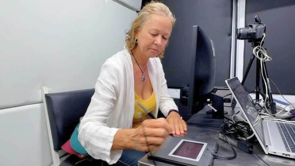 Licencia de conducir para turistas en Quintana Roo requisitos y validez