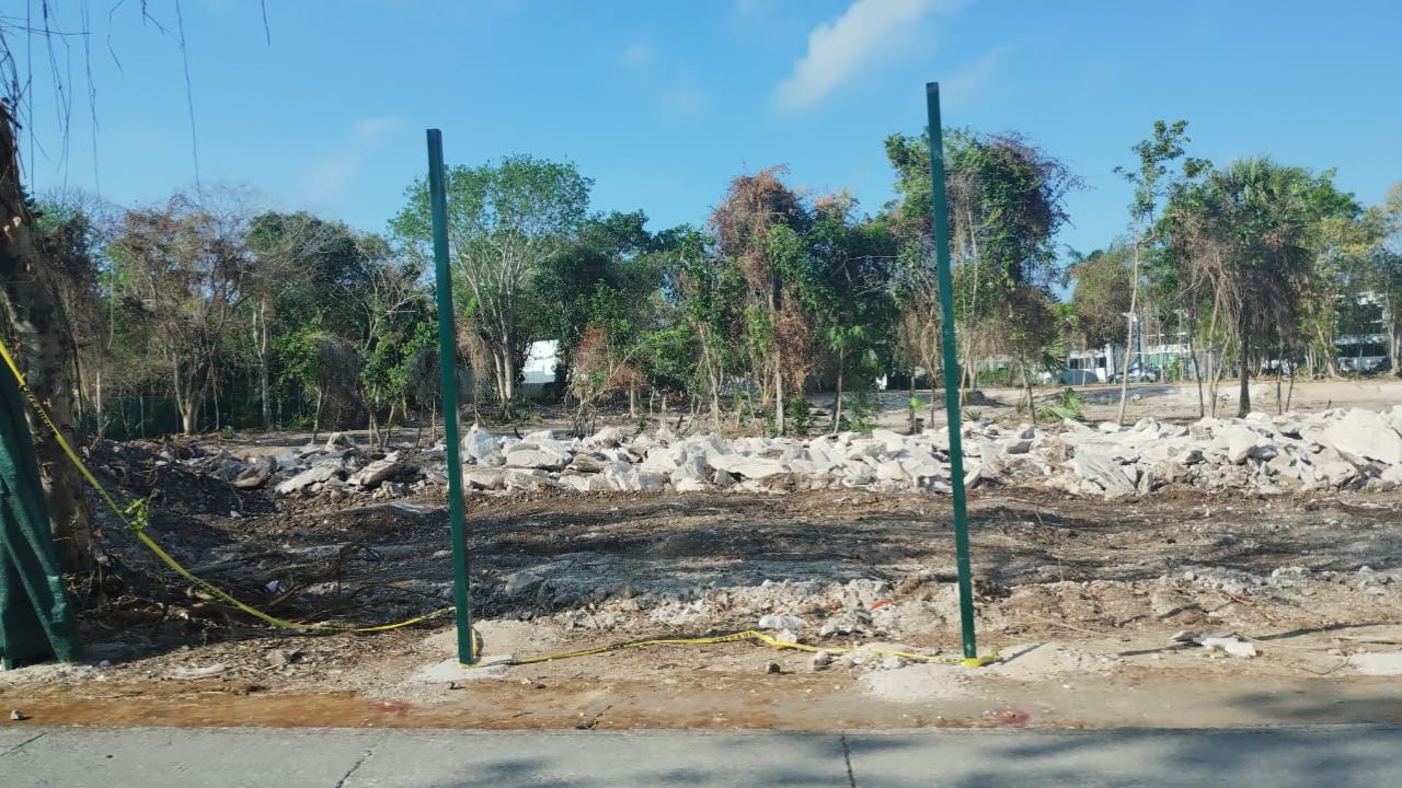 Profepa clausura obra en Playacar tras protesta y devastación de hábitat con venados