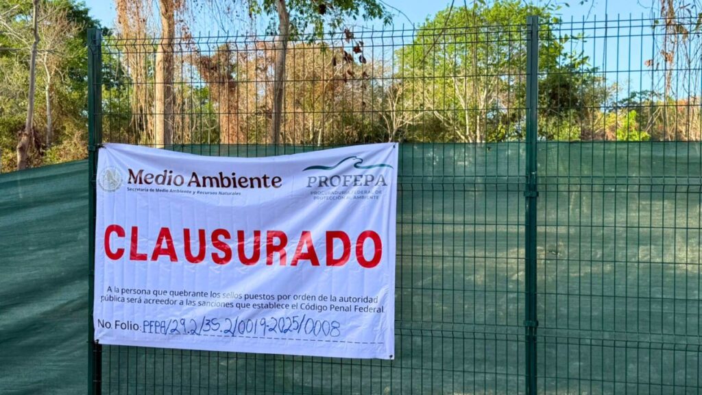Profepa clausura obra en Playacar tras protesta y devastación de hábitat con venados