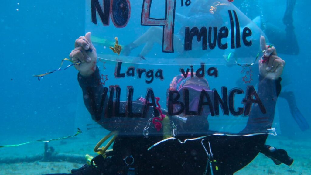 Buzos documentan vida marina en Cozumel que el cuarto muelle amenaza con destruir
