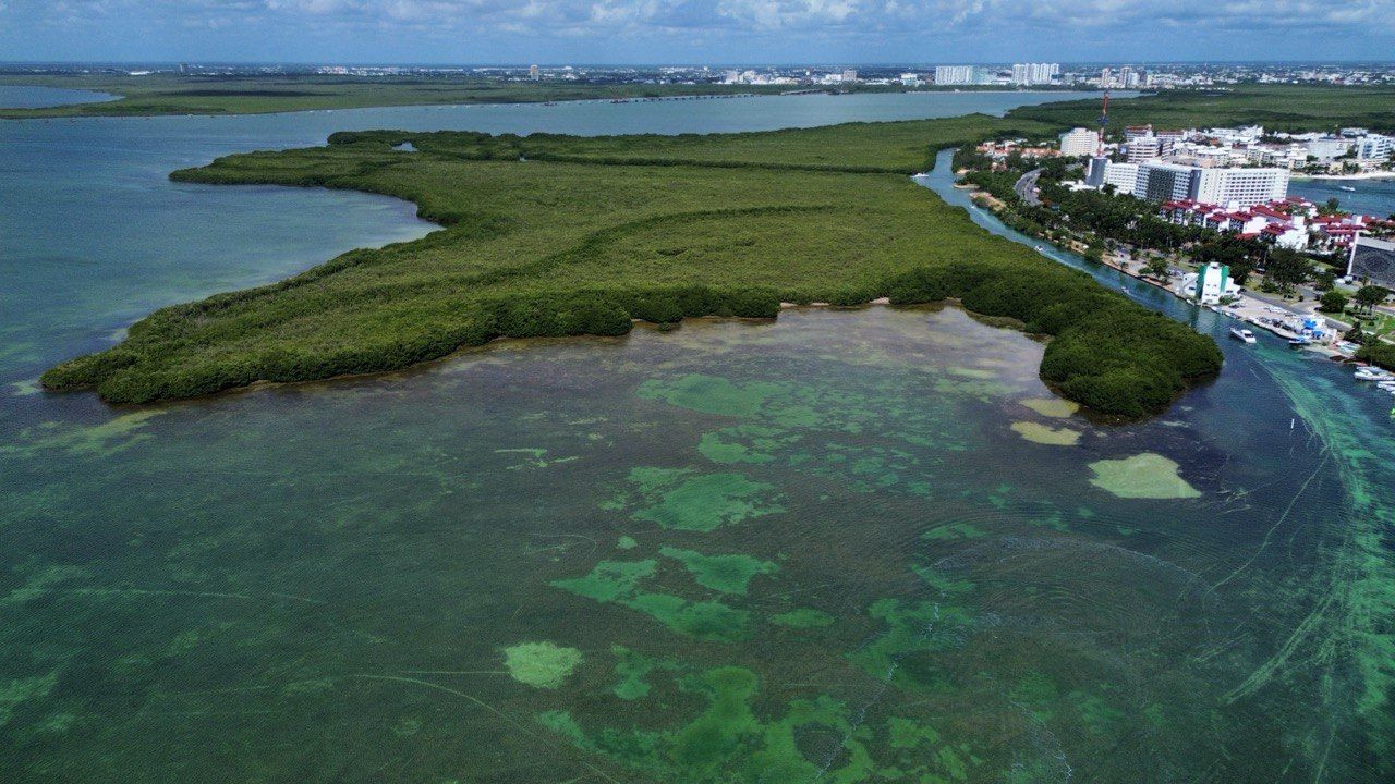 Gobierno estatal busca incluir a la laguna Nichupté en plan nacional de rescate ambiental