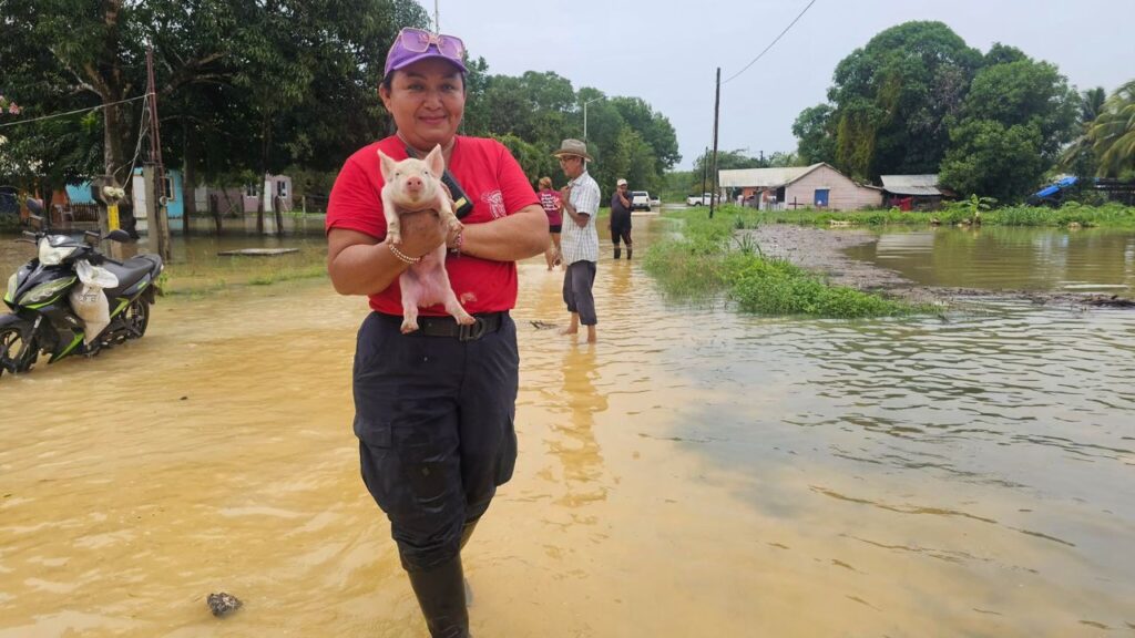 Inundaciones en Quintana Roo: 50 calles de Othón P. Blanco, bajo el agua; Bacalar