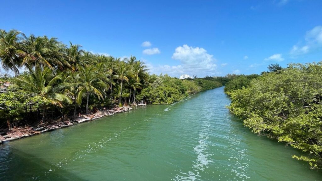Gobierno estatal busca incluir a la laguna Nichupté en plan nacional de rescate ambiental