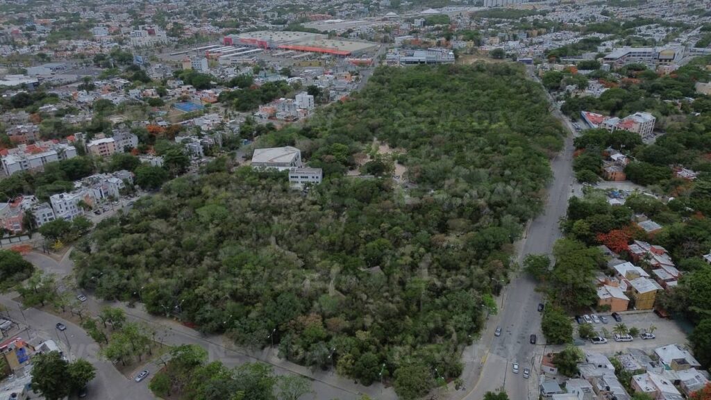Denuncian daño ambiental por ampliación de la Catedral de Cancún en el Ombligo Verde y exigen frenar obras