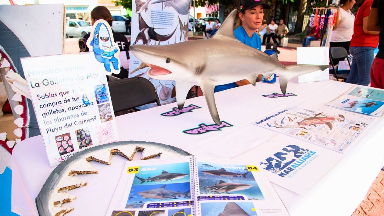 Playa del Carmen celebra el primer Tiburón Toro Fest