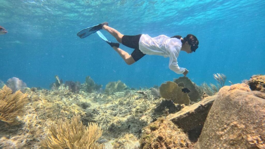 ¿Sabías que puedes ayudar en la restauración de corales de Cozumel?