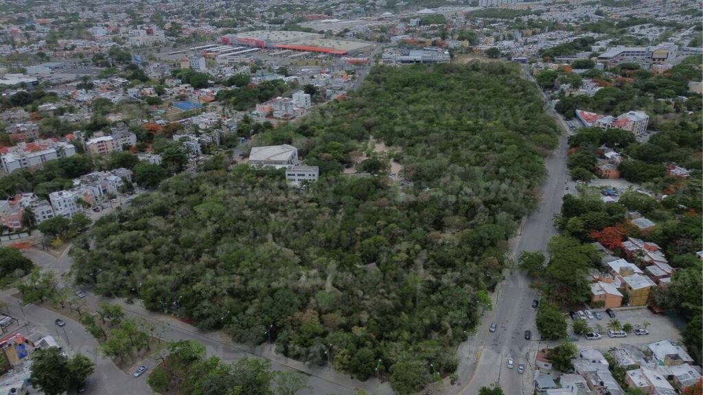 Remodelación de la Catedral en Ombligo Verde de Cancún no afectará área protegida. 📸 Paola Chiomante