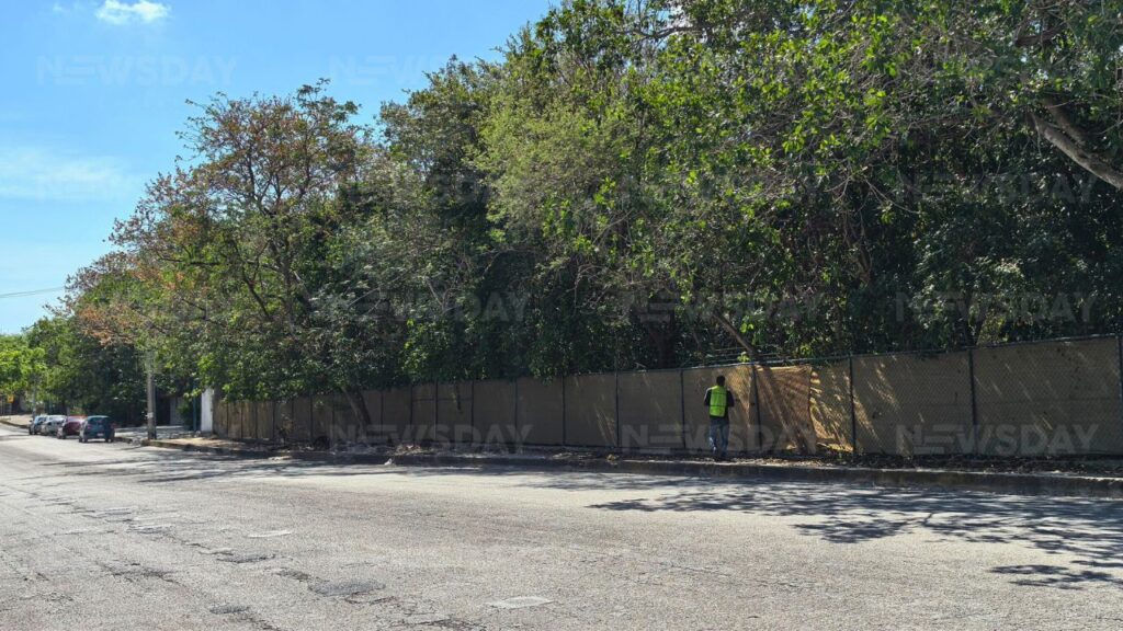 Construcción de Catedral de Cancún en Ombligo Verde, ilegal desde su origen: Tulio Arroyo y Bettina Cetto