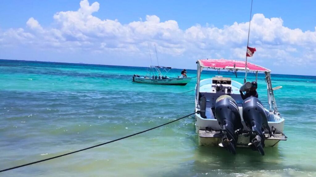 Con un libro en maya sobre el tiburón Toro contarán la historia de Playa del Carmen
