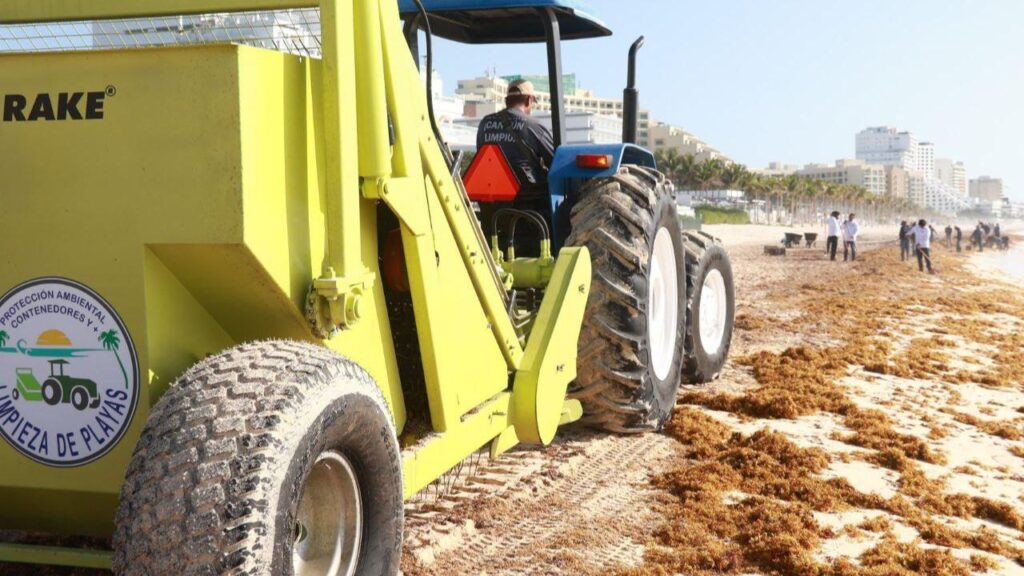 Más de 400 servidores públicos participan en jornada de limpieza de sargazo en playas de Cancún
