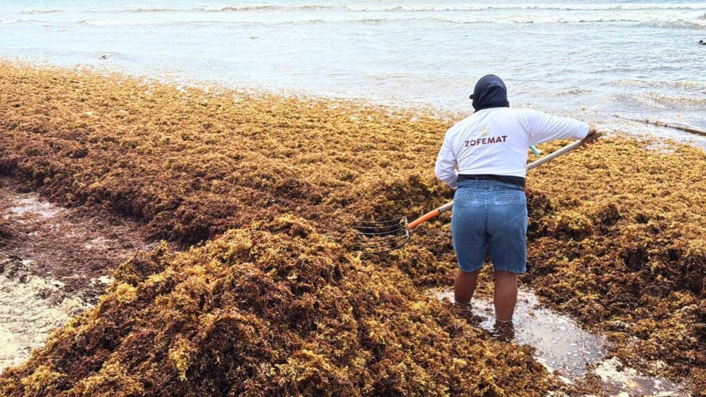 Afina Quintana Roo Centro de Saneamiento y Economía Circular para el Sargazo