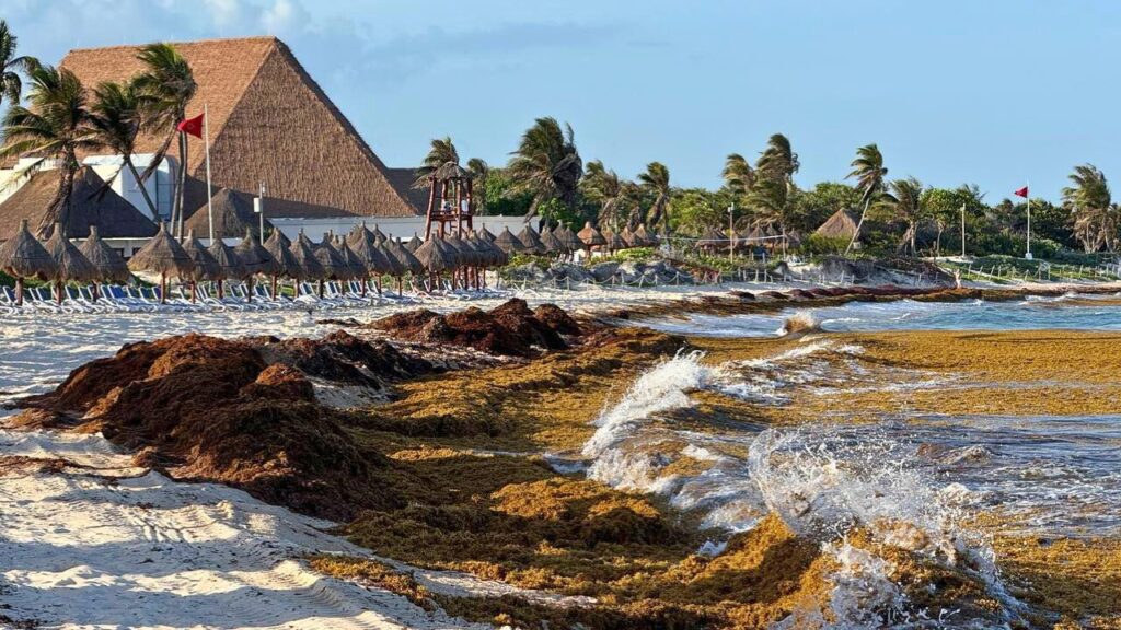 Afina Quintana Roo Centro de Saneamiento y Economía Circular para el Sargazo