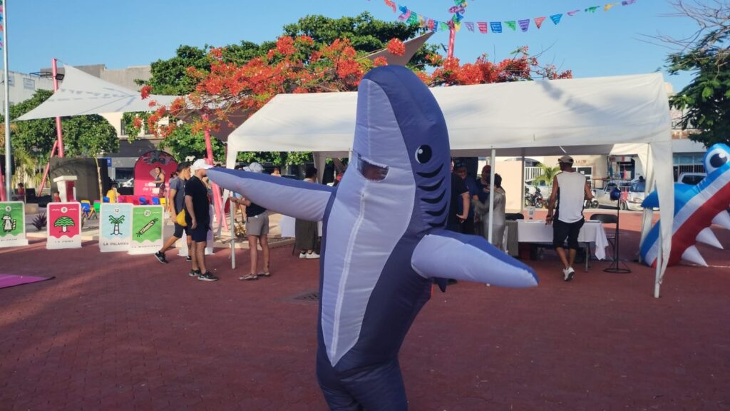 Avanzan en la creación del Museo del Tiburón Toro en Playa del Carmen.