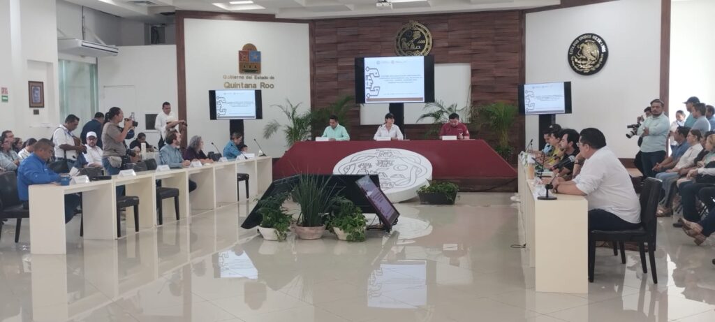 Regidora propone servicios deportivos y culturales para adultos mayores en Playa del Carmen.