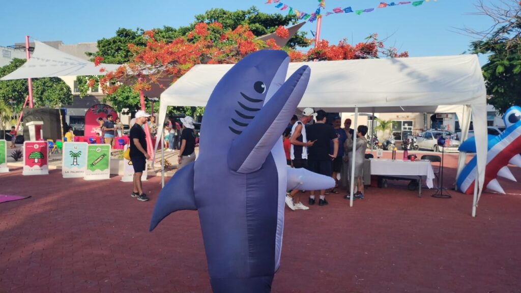 Avanzan en la creación del Museo del Tiburón Toro en Playa del Carmen.