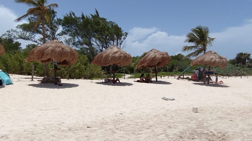 El 'Dog Beach Festival' en Playa del Carmen marca el inicio del turismo pet friendly oficial en el destino.