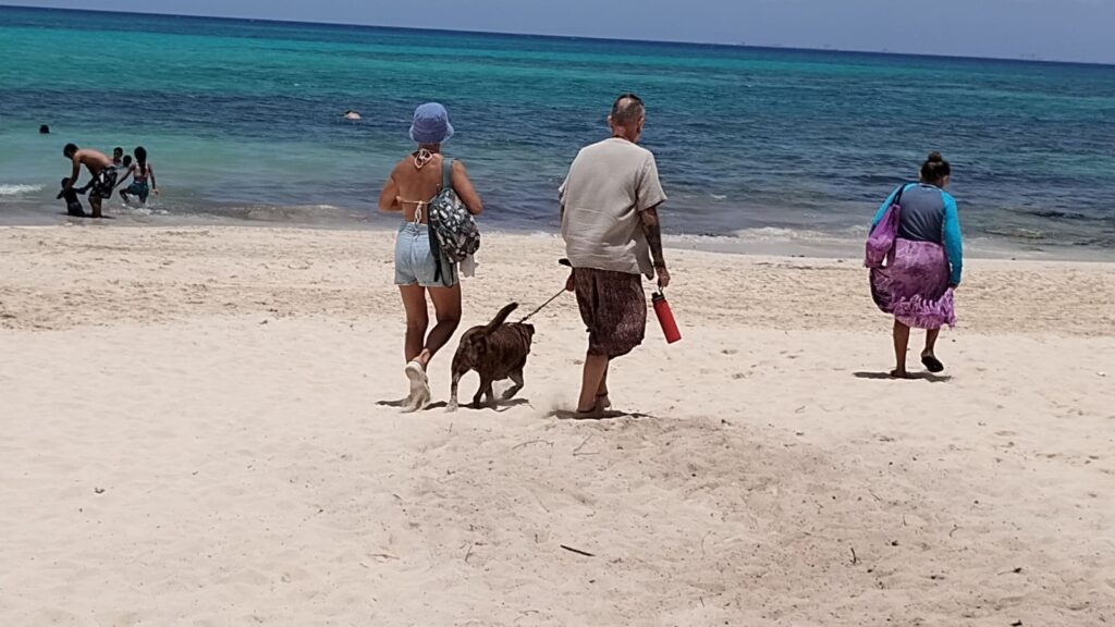 El 'Dog Beach Festival' en Playa del Carmen marca el inicio del turismo pet friendly oficial en el destino.