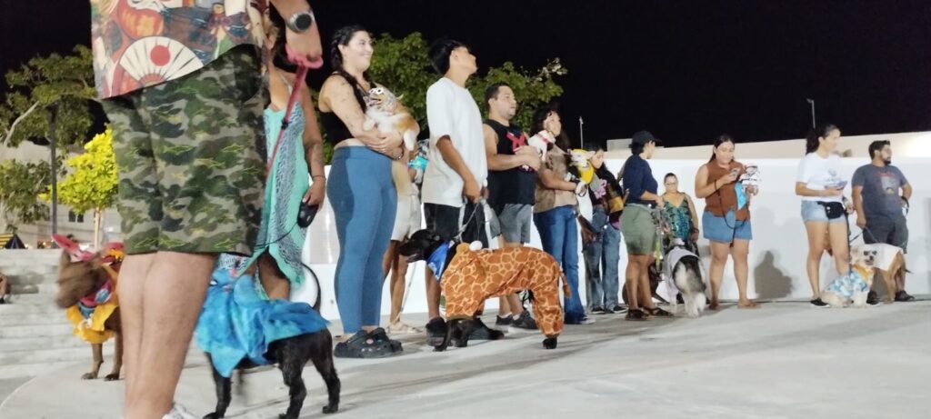 Celebran el 'Dog Beach Festival' en Playa del Carmen con un éxito sin precedentes.