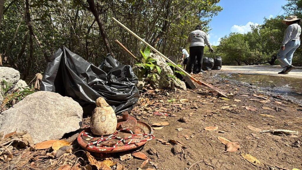 Descubren rituales de magia y cementerio de perros en manglar de Cancún. Foto: Paola Chiomante