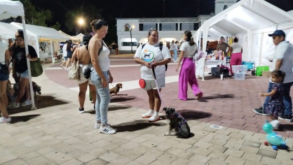 Celebran el 'Dog Beach Festival' en Playa del Carmen con un éxito sin precedentes.