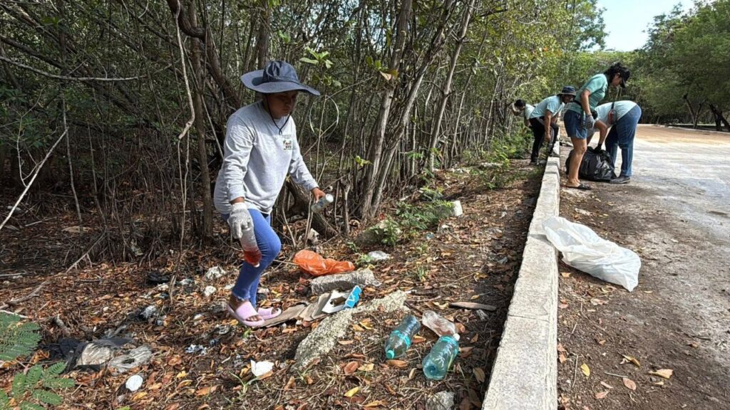 Descubren rituales de magia y cementerio de perros en manglar de Cancún. Foto: Paola Chiomante