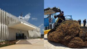 Recale masivo de sargazo en México; Mara Lezama revela que Quintana Roo retiró 44 mil toneladas de la macroalga.
