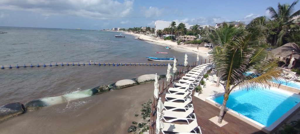 Coparmex propone mesa permanente de tres niveles de gobierno para combatir el sargazo en las playas de Quintana Roo.