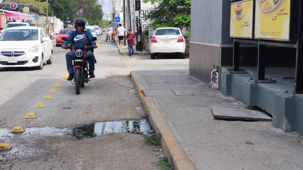 ADO estudia expandir sus servicios al transporte público en Quintana Roo.