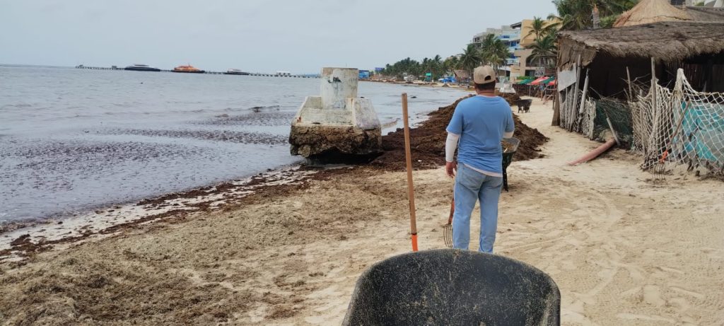 Coparmex propone mesa permanente de tres niveles de gobierno para combatir el sargazo en las playas de Quintana Roo.