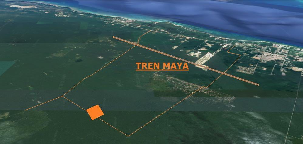 Colectivo 'Sélvame del Tren' reporta impactos ambientales del Tren Maya en Quintana Roo.