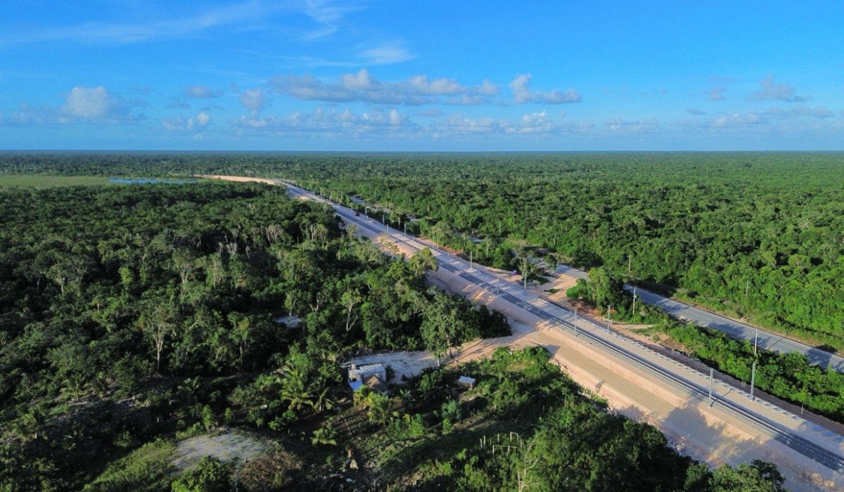 Luz verde a la terminal de carga del Tren Maya en Cancún: el costo, 259 hectáreas de selva