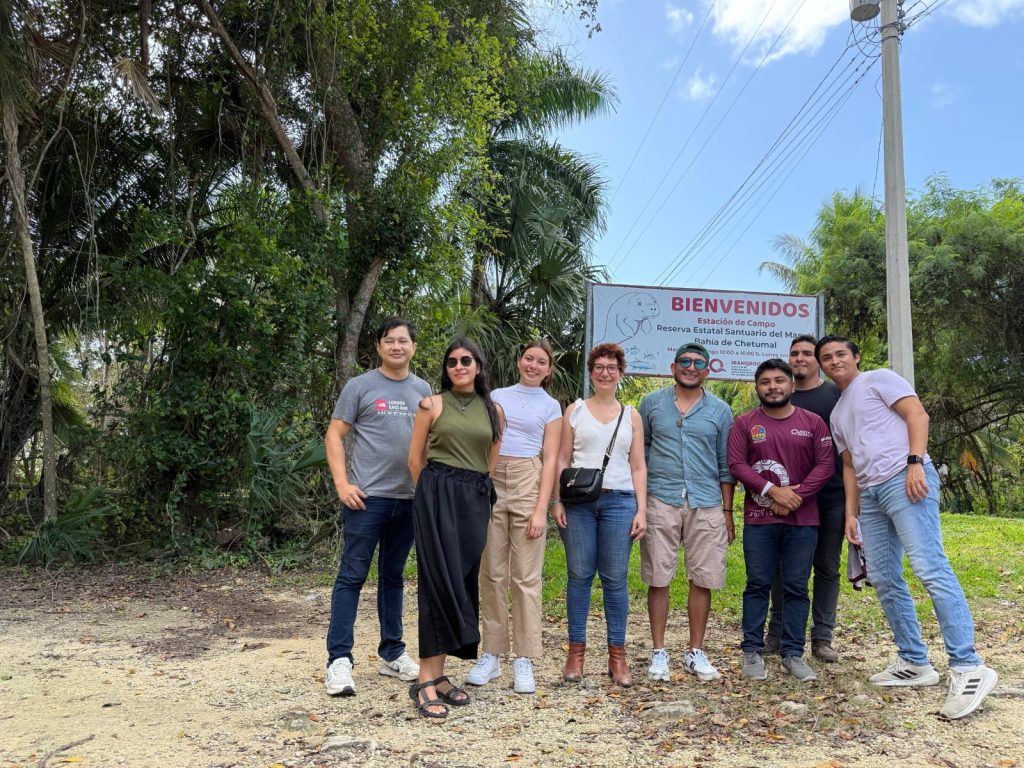 "Ekolokid", la nueva guía digital enseña a niños a cuidar manatíes y arrecifes de Quintana Roo.